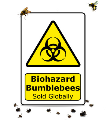 Cover_Biohazard bumble