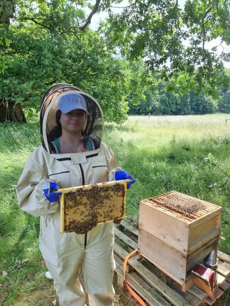 Carlota Berbel at the Silwood apiary